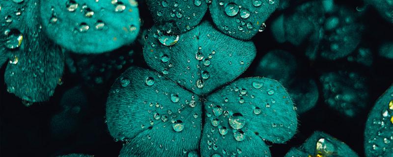 雨水节气的含义是什么意思 雨水节气代表什么