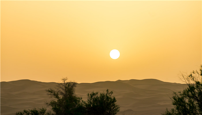 中国最大的沙漠叫什么名字 中国最大的沙漠是什么