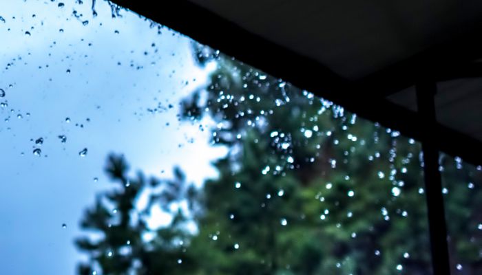 雨水节气的特征 雨水时节的特点