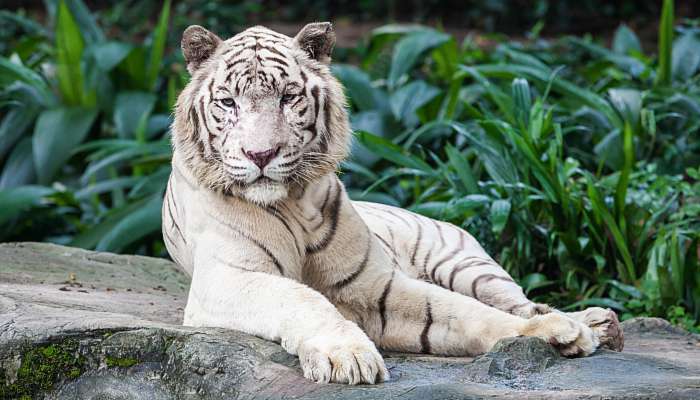 2022年幾號驚蟄節(jié)氣幾點幾分 今年的驚蟄是什么時間