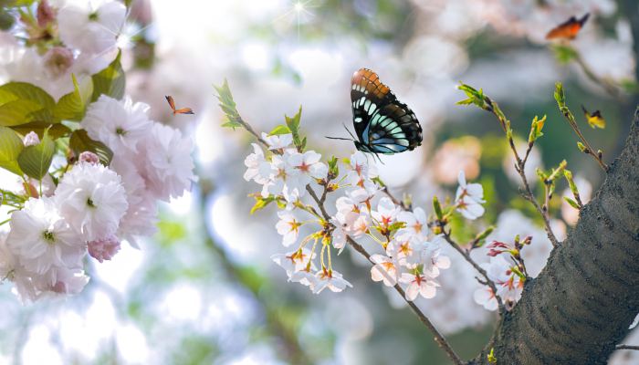 驚蟄下雨有什么說法 驚蟄下雨好還是不下雨好