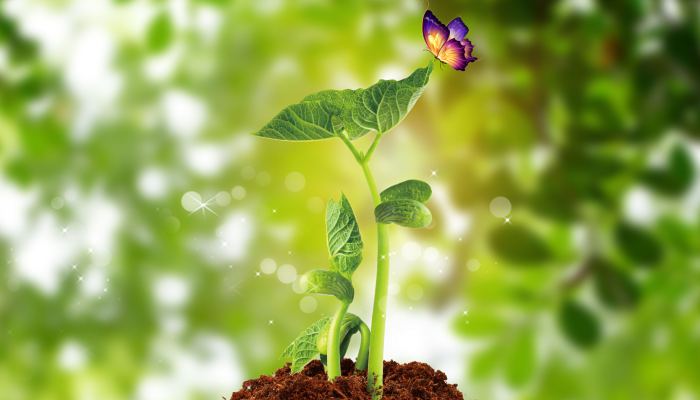 2022驚蟄后天氣還會冷嗎 驚蟄過后天氣會不會變暖