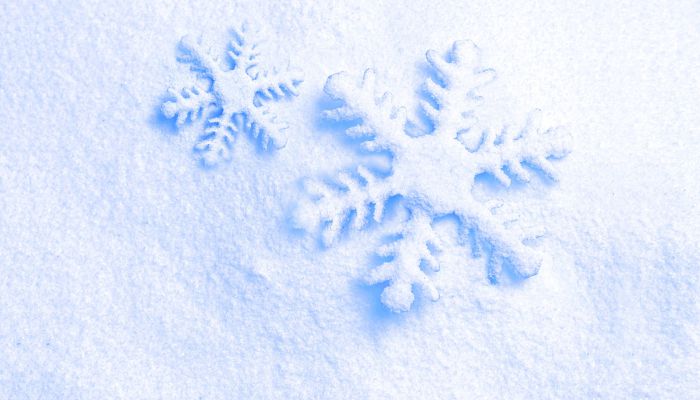 20221212ڼ 20221212ʲôʱ