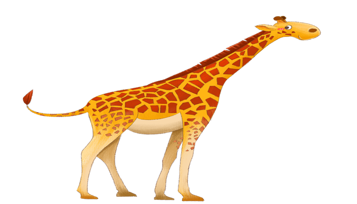 长颈鹿的脖子为什么那么长 长颈鹿脖子为何这么长