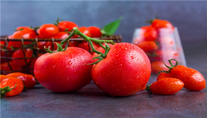 小番茄冬天可以种吗 小番茄在冬天能种吗