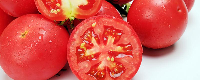 小番茄冬天可以种吗 小番茄在冬天能种吗
