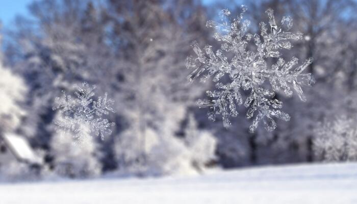 雪容融是会发光的灯笼 关于雪容融的设计细节