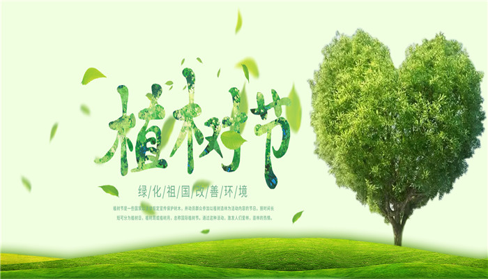 植树节是国际的还是中国的 植树节是属于国际还是中国