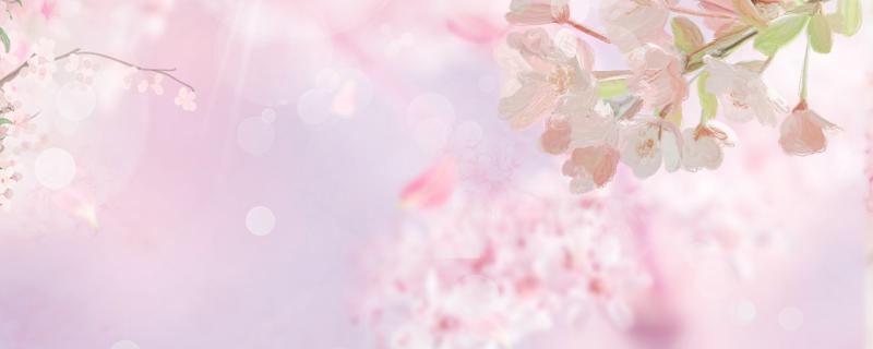 春分是2022的幾月幾日 二十四節(jié)氣春分時(shí)間