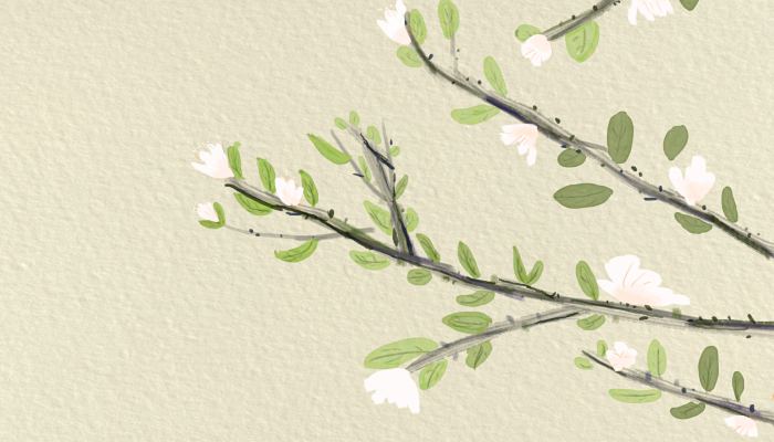 2022春分下雨好還是不下雨好 春分下雨有什么說法