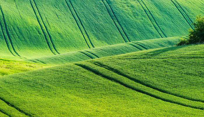 2022春分下雨好還是不下雨好 春分下雨有什么說法