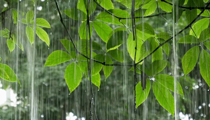江西发布暴雨黄色预警 鹰潭上饶抚州等将现强降雨伴强对流