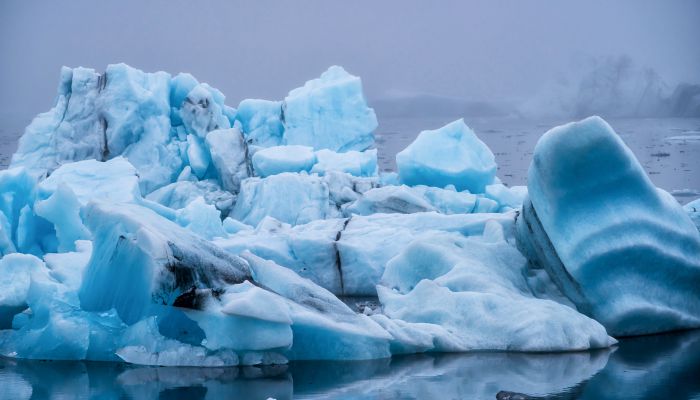 北极已经可以穿短袖了 7月气温一度飙升至32.5摄氏度