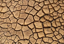 江西2.7万公顷农作物因干旱绝收 预计干旱还将持续发展