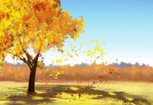秋分的诗句唯美的 最美秋分的十首诗