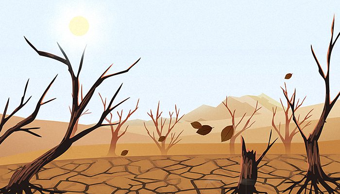 肯尼亚遭遇40年来最长特大干旱 导致多种野生动物死亡