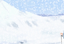 冬天下的鹅毛大雪其实是什么 鹅毛大雪是雪花聚合体还是雾凇