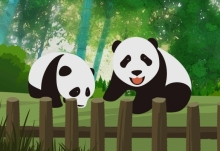 山东威海大熊猫上演“雪中吃播” 网友：熊猫不怕冷吗？