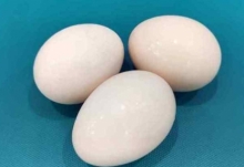2块钱鸡蛋和5毛钱鸡蛋的区别 可生食鸡蛋成兔年春节流行年货