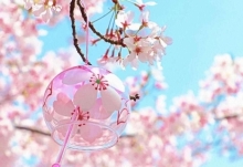 2023年无锡樱花什么时候开 最新鼋头渚樱花最佳观赏时间表