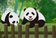 熊猫基地考虑建黑名单制度 随便投喂对动物的危害有多大