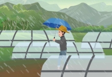青岛今天阴有阵雨或雷雨 出门记得带伞