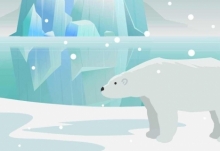 北极熊为什么不吃企鹅 北极熊不吃企鹅的原因
