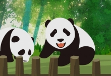 熊猫为什么是中国的国宝 熊猫为什么能成为国宝