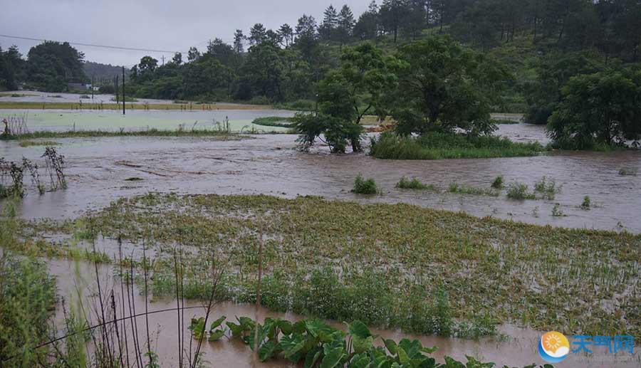 直击福建暴雨致灾害农田街道被淹 高清组图