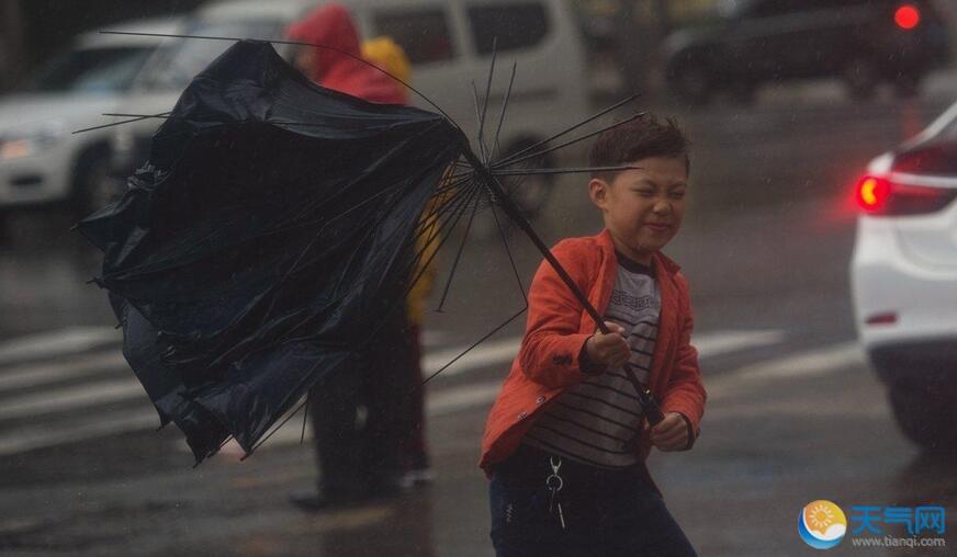 沈阳突遭狂风暴雨 行人分分钟就要起飞 - 天气网