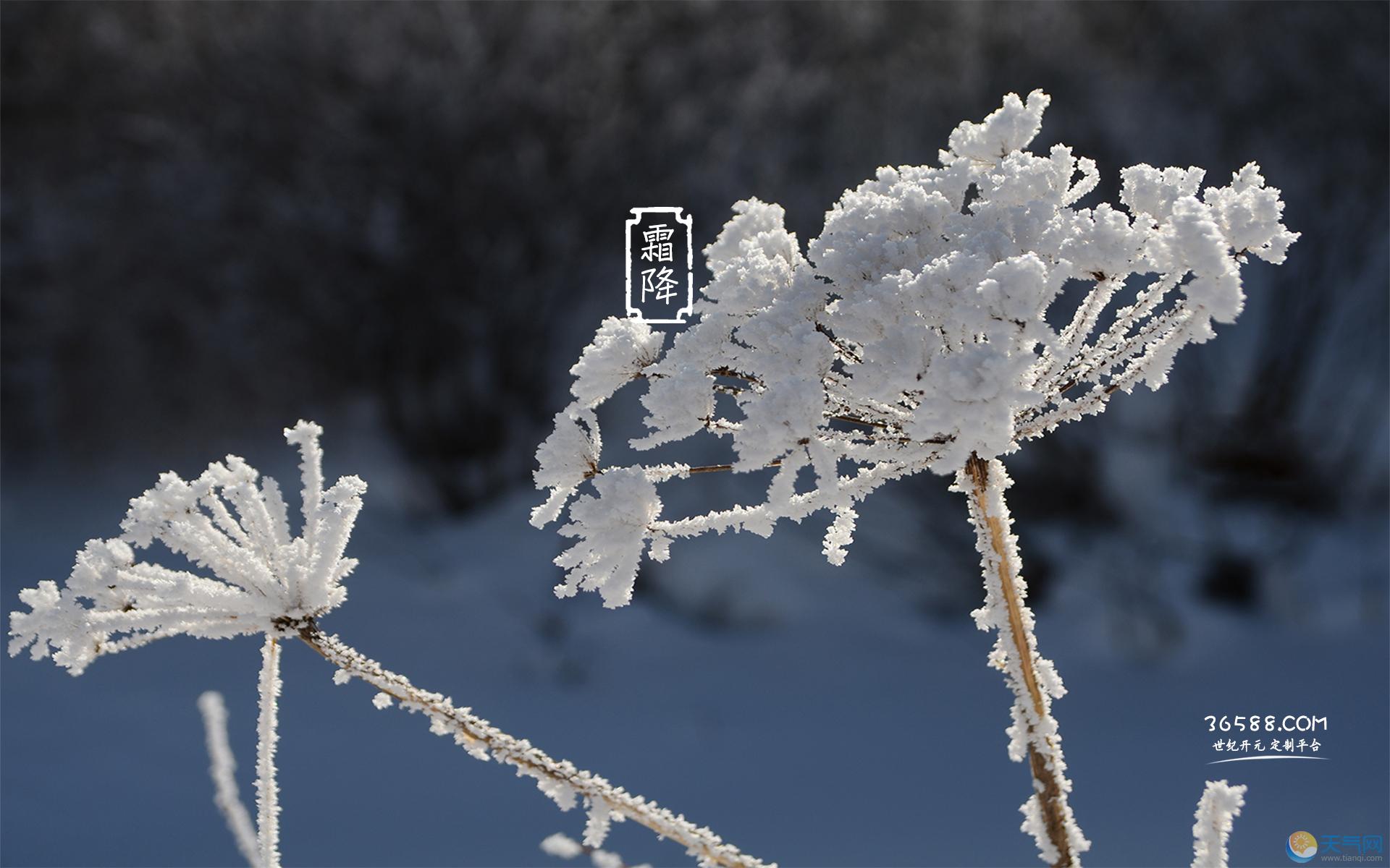 霜降节气