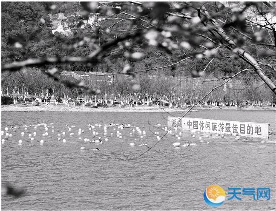 杭州天气预报:气温稳步上升 3月中旬或入春