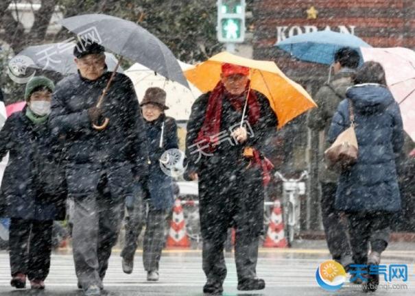 日本东京暴雪积雪21厘米 170人伤影响2.2万人