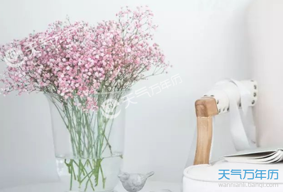 各种花花语是什么 各种花适合送什么人