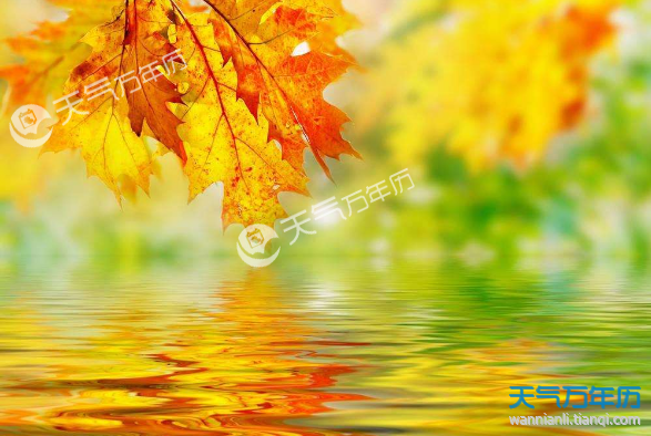 [关于立秋的诗句]关于立秋的优美句子 形容立秋的经典