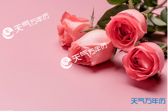 2018七夕送女朋友几朵花 2018年七夕节每一朵玫瑰花都有意义