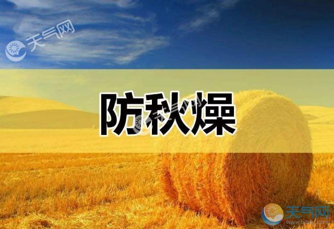 出伏后天气渐凉秋燥袭来 皮肤干燥干咳无痰怎么办?