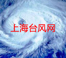 上海台风网