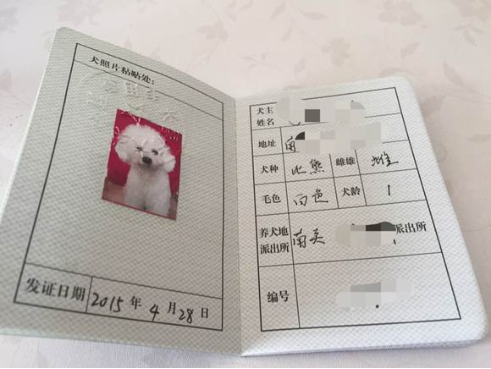 重庆狗证图片