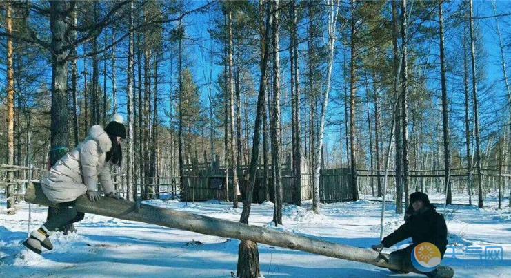 黑龙江漠河的初冬:不戴手套帽子在雪地嬉戏