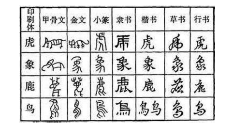 汉字的起源与演变表格图片