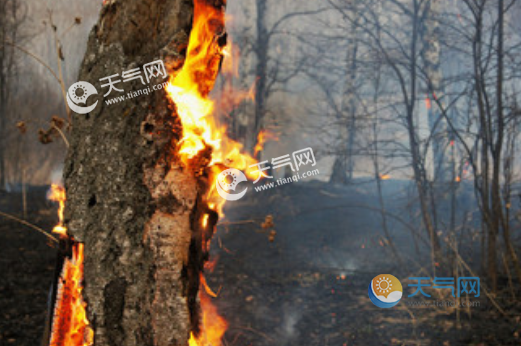 天氣 天氣新聞 > 正文 林火爆燃有什麼危害?