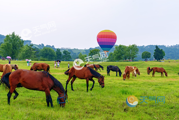 2019端午節去哪旅遊不熱端午節涼快又好玩的去處