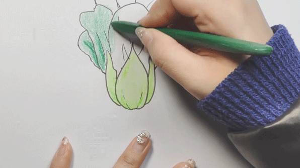 青菜简笔画怎么画 青菜的简笔画步骤图解教程