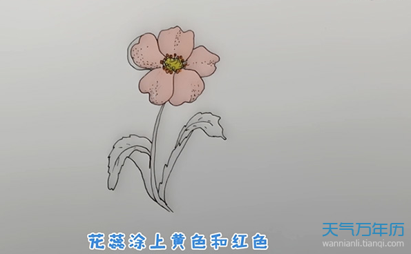 罂粟花简笔画怎么画罂粟花的简笔画步骤图解教程