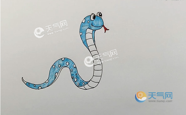 蛇简笔画怎么画 蛇的简笔画步骤图解教程