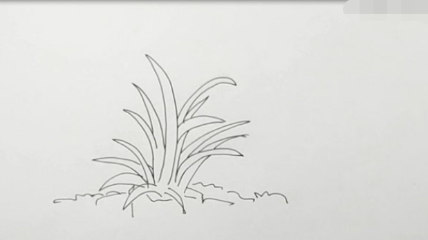 草丛简笔画怎么画草丛的简笔画步骤图解教程