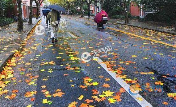 山東西北部仍有小雨天氣 省會濟南局地氣溫僅18