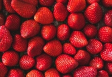 冬天可以吃草莓吗 冬季吃草莓的好处与注意事项