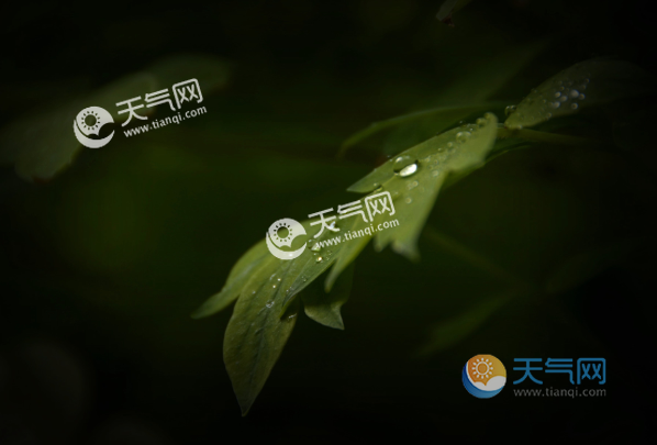 雨水節氣古詩大全 關於雨水的古詩詞